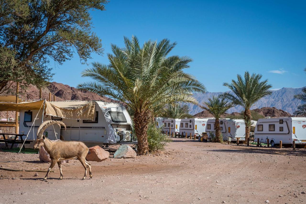 Park Timna Hotel Eilat Bagian luar foto